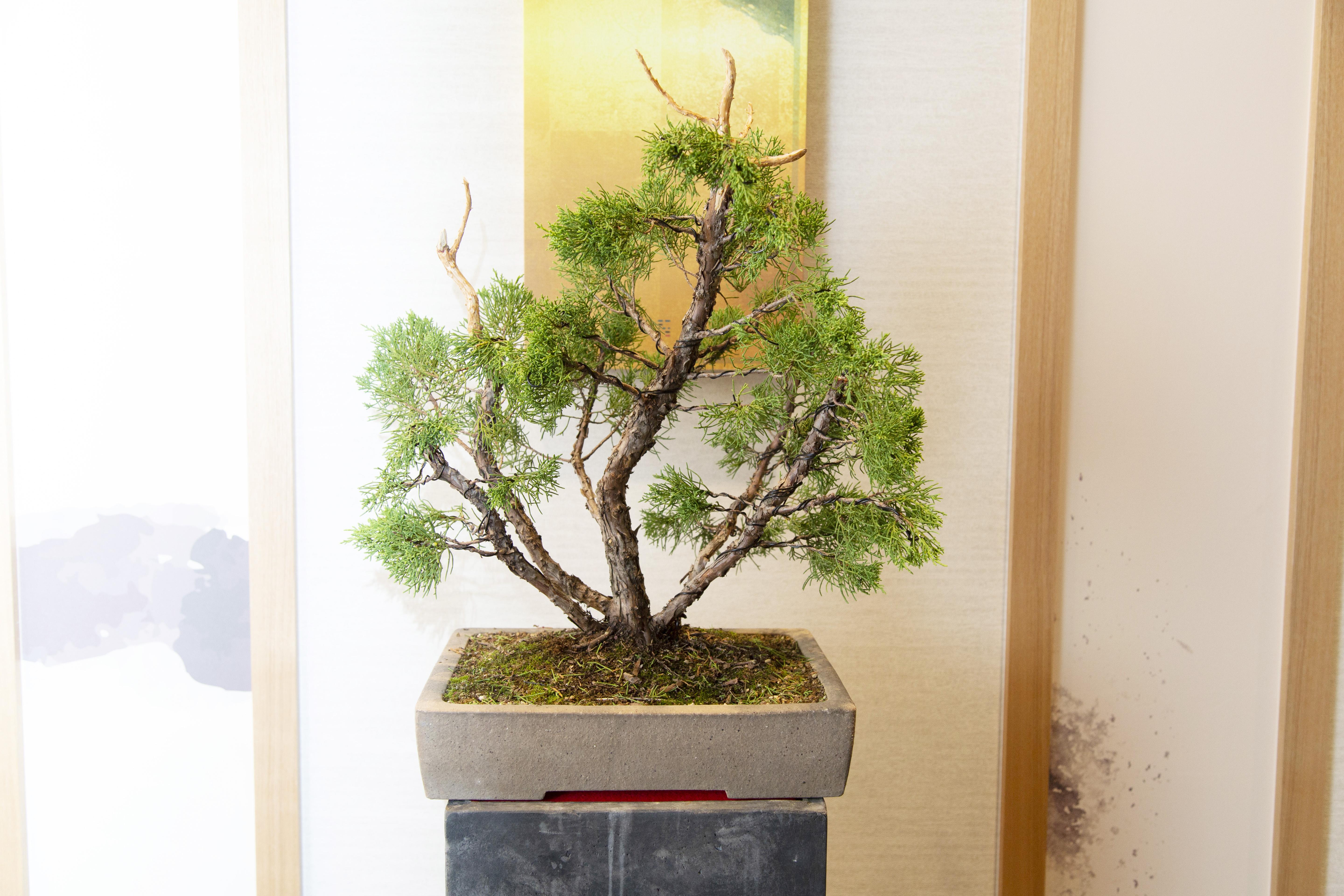 Hotel Hillarys Shinsaibashi Ōsaka Extérieur photo